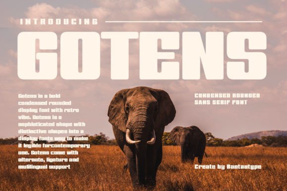 Gotens: The Bold Display Font for Modern Business Brands